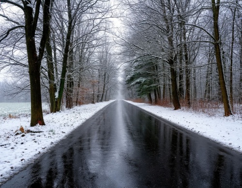 Погода в Перми на выходные 15-16 ноября: от дождливой слякоти до зимних морозцев