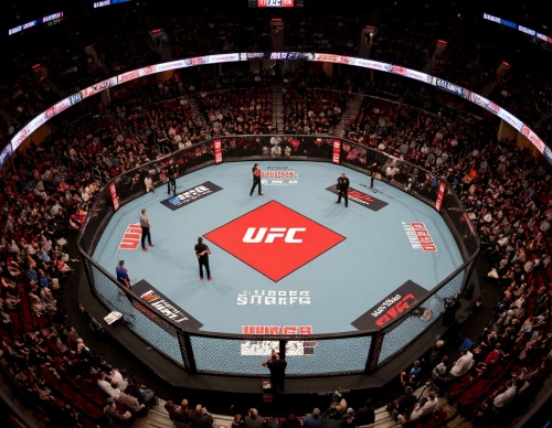 Нурмагомедов – Фигейреду: лёд против огня